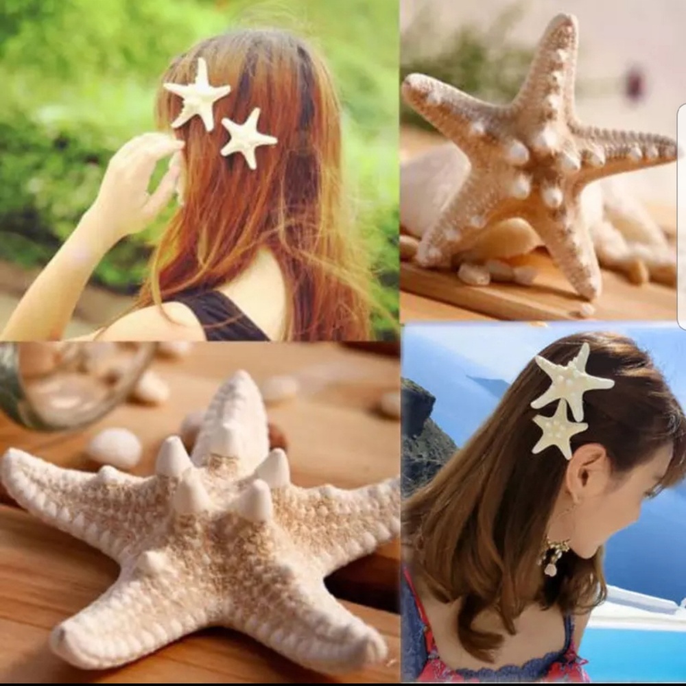 NWOT SHELL HAIR PIN